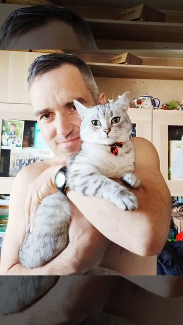 Выйду ночью с котом