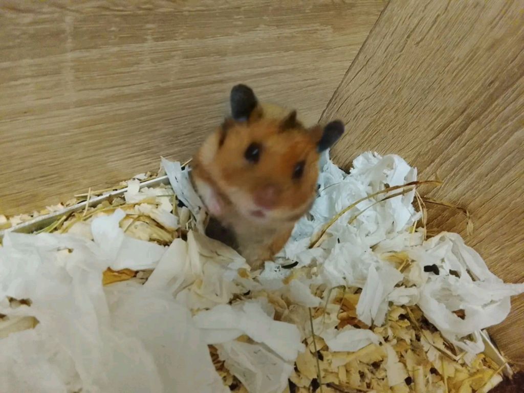 Хз смотреть онлайн