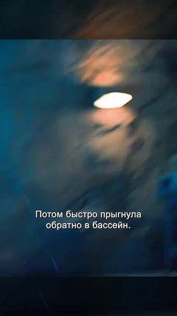 Краткий пересказ фильма смотреть онлайн