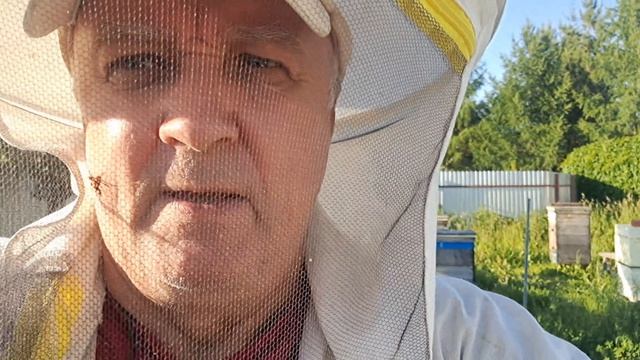 Итоги реализации плана позднего деления семей. Что даёт объединение слабых семей в перспективе смотреть онлайн