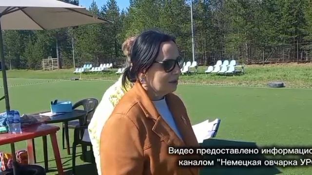 ВЕТЕРАНЫ КОБЕЛИ / КЧК СУРГУТ 30 мая`26 А.Кейвомяги Моно немецких овчарок