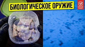 ЧТО ВНУТРИ? Просрочка 2 месяца под микроскопом!