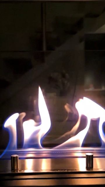 Evening Relax