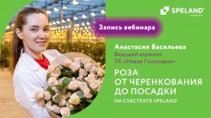 Вебинар: роза от черенкования до посадки на субстрате SPELAND