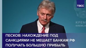 Песков: нахождение под санкциями не мешает банкам РФ получать большую прибыль