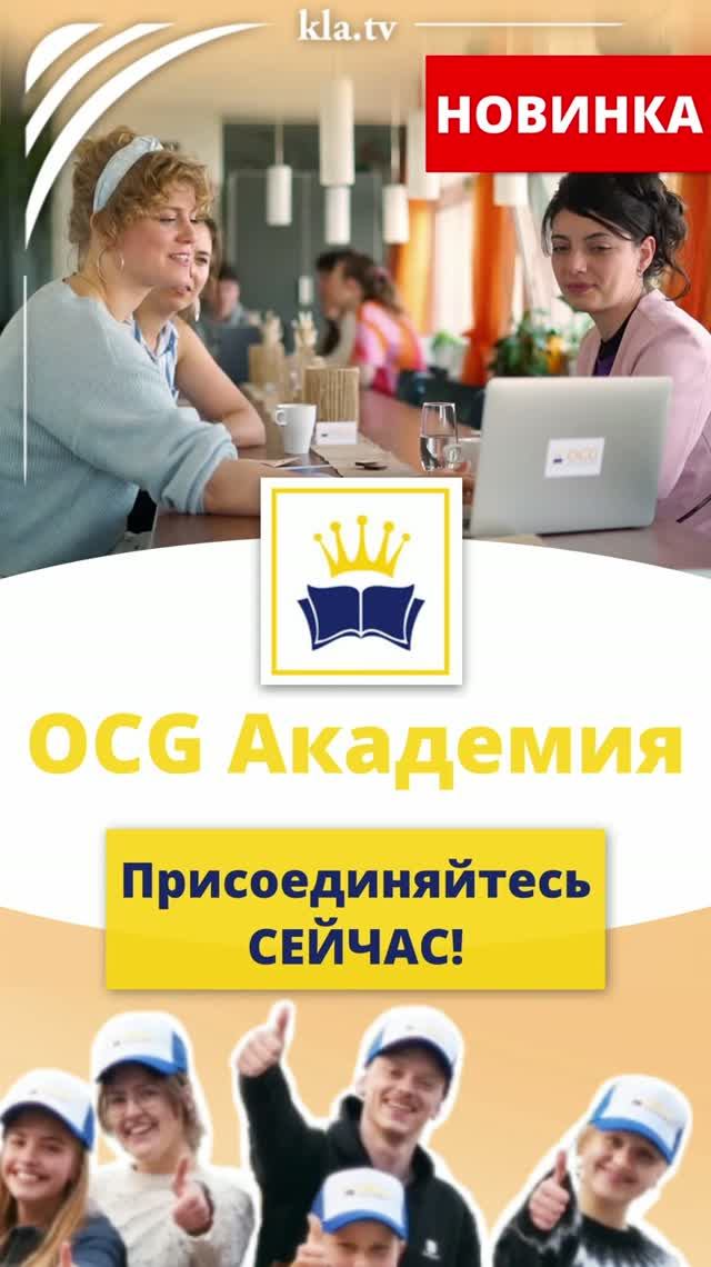 НОВИНКА: Академия OCG – Присоединяйтесь прямо сейчас!  2026-06-11