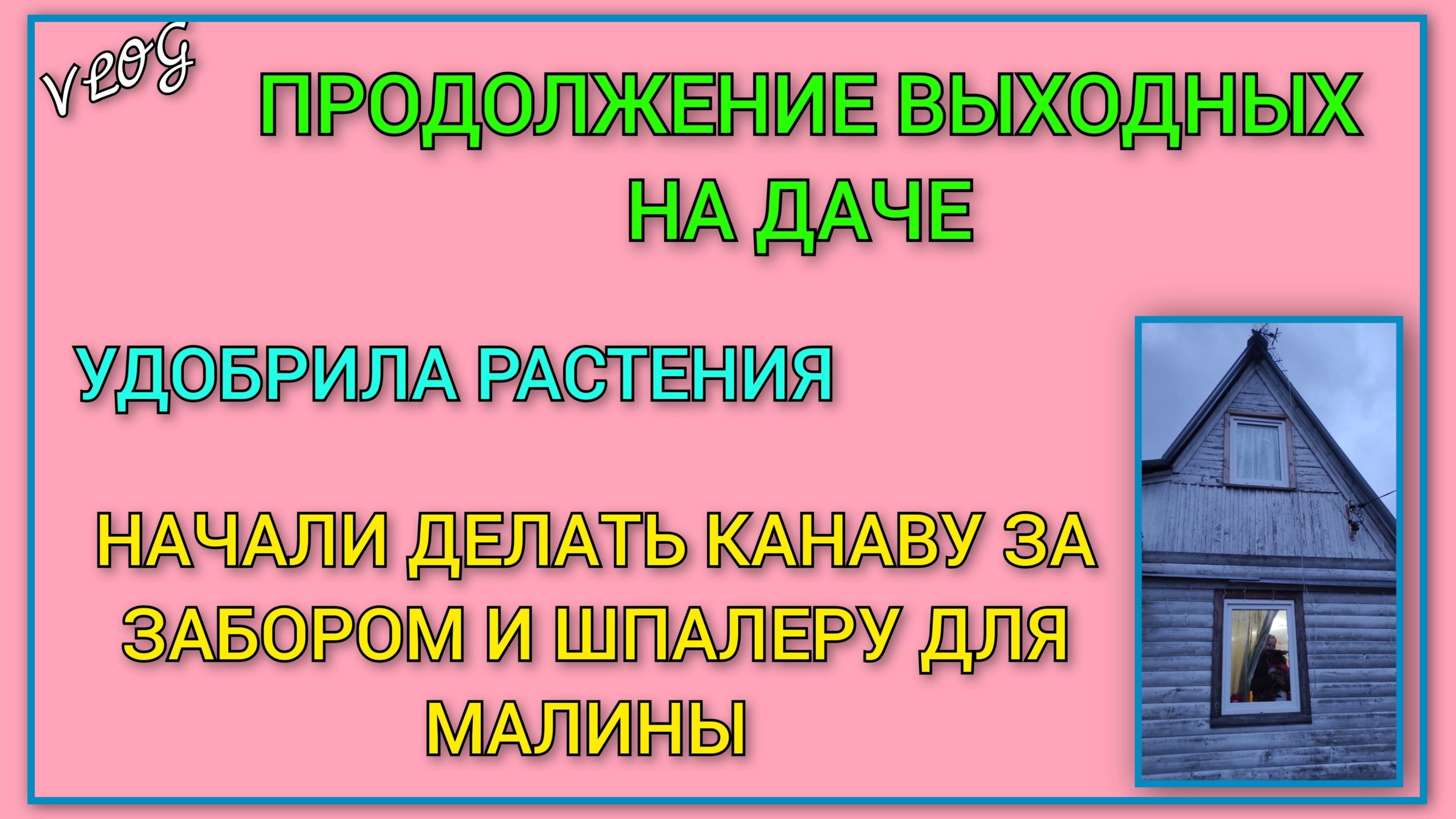 🍒 VLOG: Продолжение выходных на даче/ Удобрила растения/ Начали делать канаву и шпалеру для малины