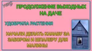 🍒 VLOG: Продолжение выходных на даче/ Удобрила растения/ Начали делать канаву и шпалеру для малины