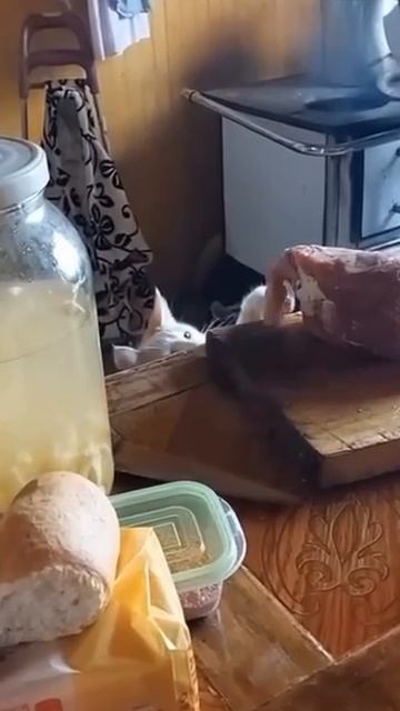 Фиаско смотреть онлайн