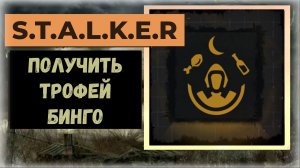 S.T.A.L.K.E.R.2 Сердце Чернобыля Как получить трофей «БИНГО» пропускаемый
