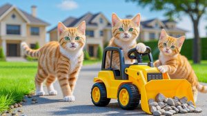 Мама-кошка подстригает шерсть на ферме и делает тигровую шапку для котят дома🐾🎩🐯