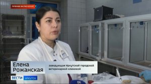 Прямое включение: городская ветеринарная клиника перешла на круглосуточный режим