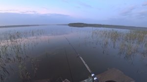 Рыбалка у дома. Открытие сезона.
