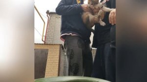 МЫ ИГРАЕМ С НАСТИКОМ В ЧЕЛЕНДЖ!