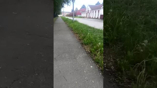 вечерний стрим смотреть онлайн