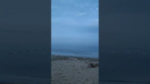 Россия 🇷🇺 Феодосия !!! Лето ☀️🌱🌳 🌲🌿💐🌊🚢 Год 2026