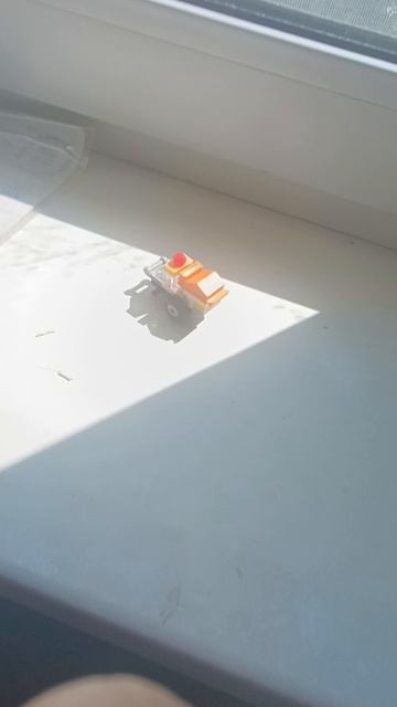 шоко жига