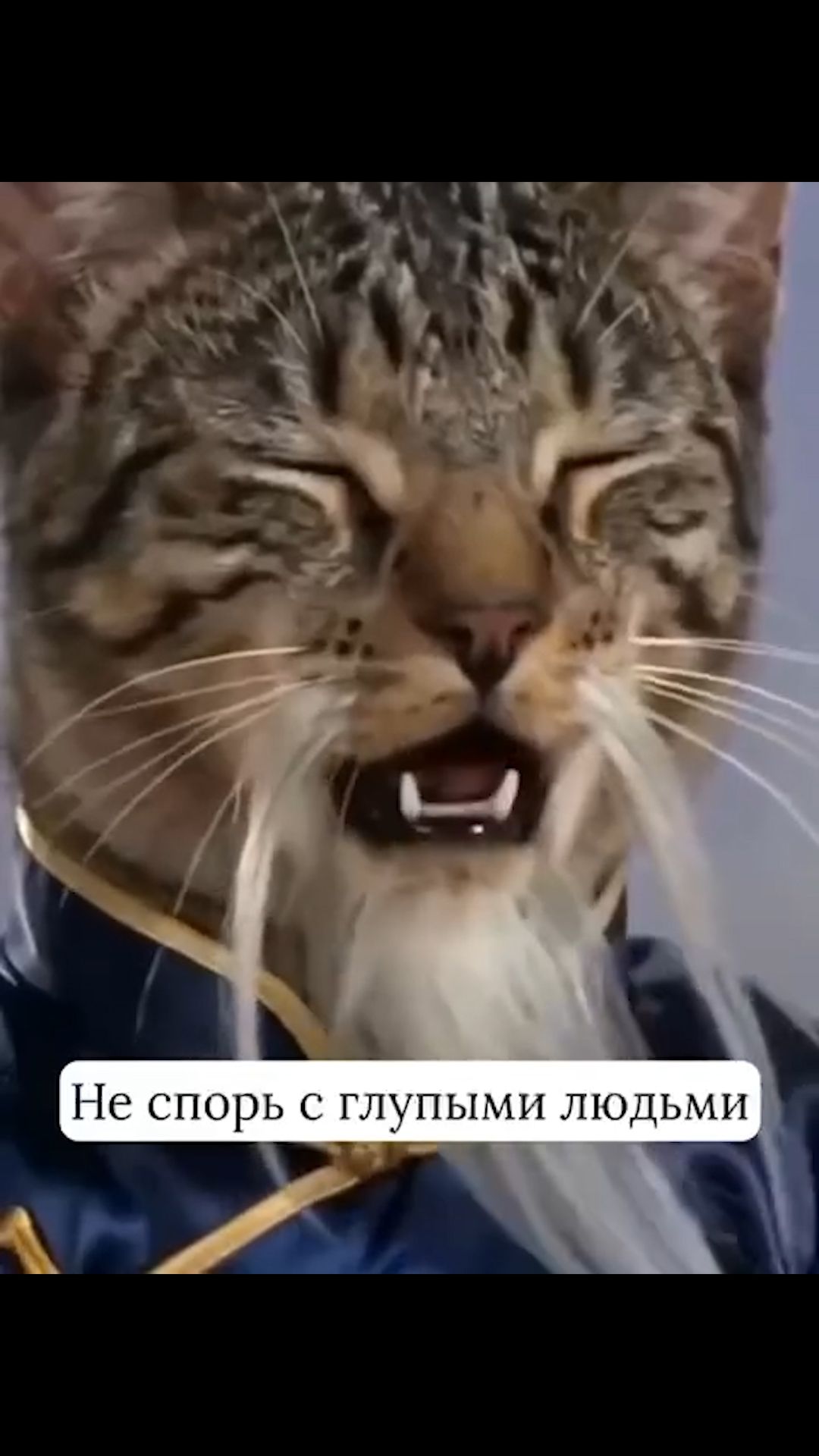 Не спорь с дураками #тренд #тренды #рекомендации #рек #trending #trend #fun #funnyvideo #lol #shorts