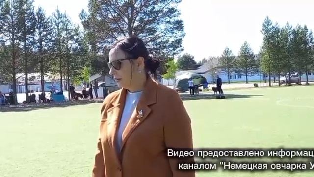 МОЛОДЫЕ КОБЕЛИ / КЧК СУРГУТ 30 мая`26 А.Кейвомяги Моно немецких овчарок