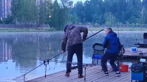 поимка карпа на опарыша