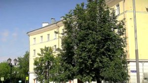 Жителей Тверской области ожидают жаркие выходные и дождливые будни