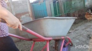 С внуком не соскучишься /как живут в русской деревне...