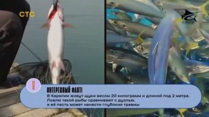 У нас в гостях была Юлия Такшина