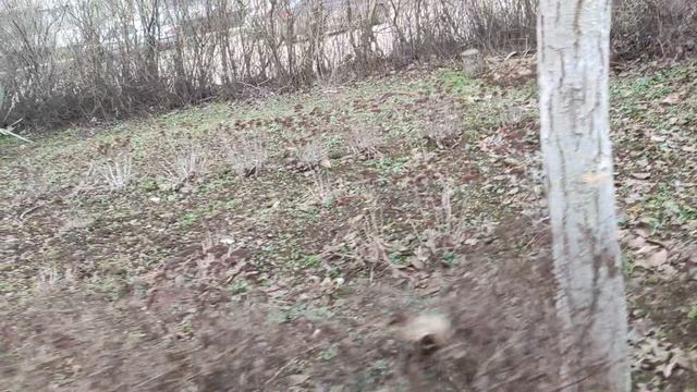 Один из дней города Евпатории | 11 января 2022 год | Крым ХАН БАТОН XAH 6ATOH | VID_20220111_143911