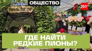 В Московском зоопарке показали редкие сорта пионов