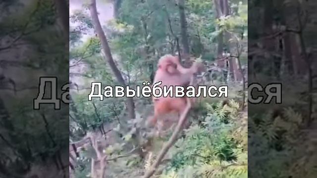 Аххаахахахаххахах смотреть онлайн