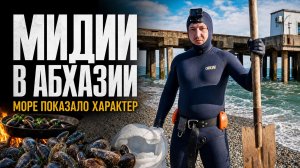 Чёрное море (Абхазия), мидии и заплыв, который я запомню