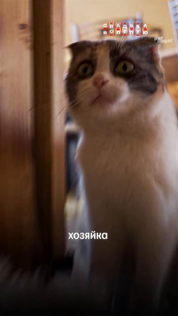 Девочки, кто согласится на такую авантюру?   #СвадьбаВслепую — четверг 19:00