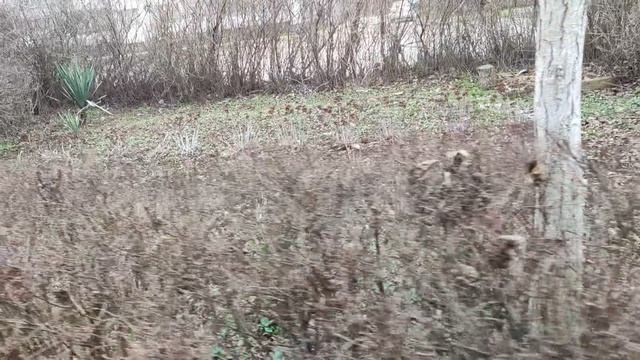 Один из дней города Евпатории | 10 января 2022 год  | Крым ХАН БАТОН XAH 6ATOH | VID_20220110_145949