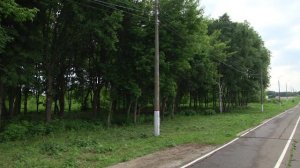 Единая Россия завершает голосование за объекты благоустройства