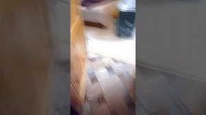 Показываю мою квартиру