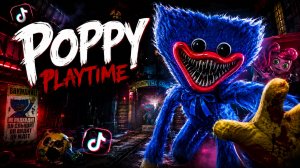 Poppy Playtime - TikTok Подборка #2