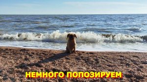 106. С утра работа, после обеда море/ место для селфи в маках