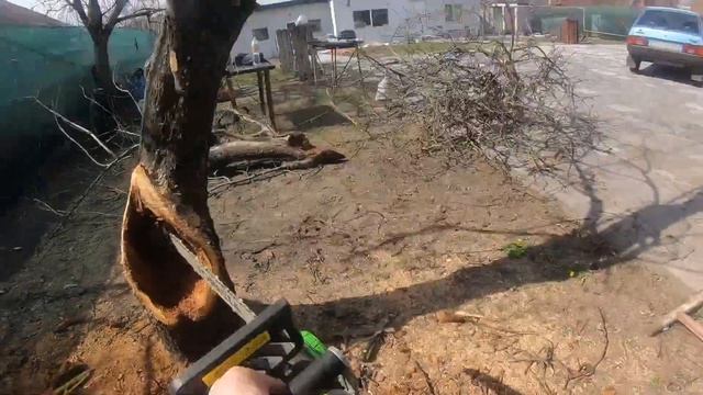 Омолаживающая обрезка старой яблони.