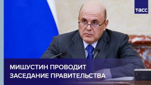 Мишустин проводит заседание правительства