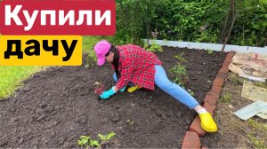 4 серия / УКРАЛИ цветы / РАБОТАЮ даже в ДОЖДЬ / КУПИЛИ ДАЧУ /