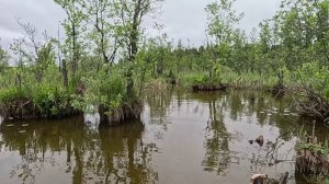 еееКуда не кинь, везде клюёт.  Ловля краснопёрки спиннингом на мормышку.
