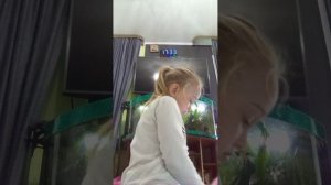 VID_20260611_174449.3gp