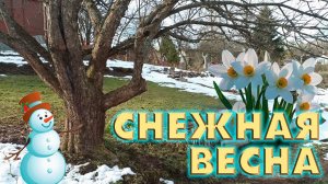 СНЕЖНАЯ ВЕСНА