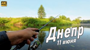 Голавль на спиннинг в июне! Улов на Днепре