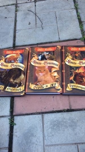 Озвучка разговора Чумазика и рыжика (стань диким)