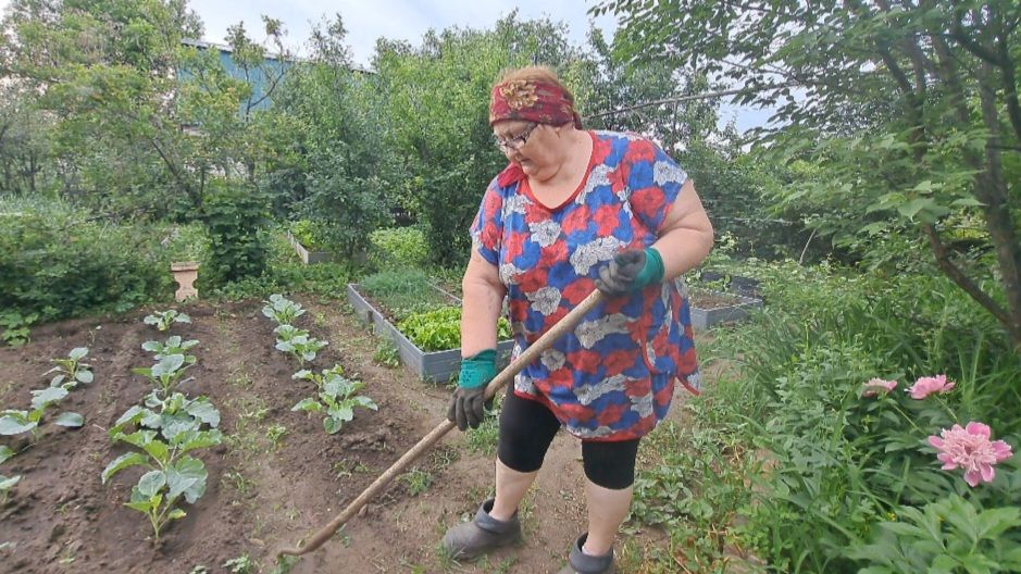 Дача. Борьба за урожай продолжается... смотреть онлайн