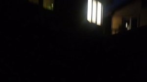 Последние новости Всё спать или стать?!