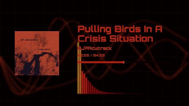 Pulling Birds In A Crisis Situation | DJ? Acucrack
