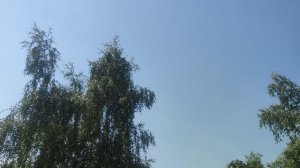 11 июня Магический ☀️ прогноз погоды от волшебника