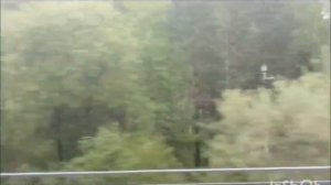 Весенний лес из окна поезда 30.05.2026
